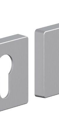 System R011Y БрашМатХром